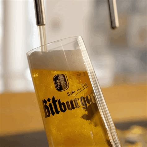 beer gifs|beer drinking gif.